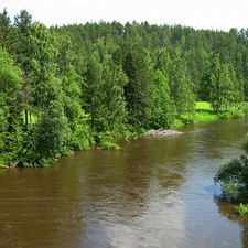 Какое течение медленное. Течение реки быстрое или медленное. Течение реки Волги быстрое или медленное. Течение ангары быстрое или медленное. Река с быстрым течением.